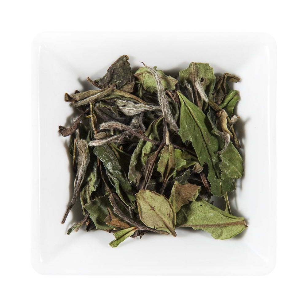 China White Tea Pai Mu Tan